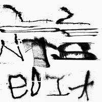 Still House Plants - Fast Edit vinyl cover