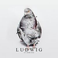 Stimming - Ludwig vinyl cover
