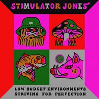Stimulator Jones - Low Budget Environments Striving For Perfection vinyl cover