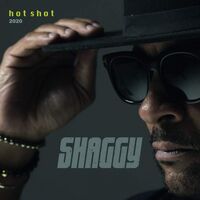 Sting  &  Shaggy - Hot Shot 2020 vinyl cover