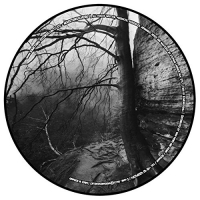 Stl - Akkretionsscheibe vinyl cover