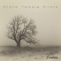 Stone Temple Pilots - Perdida vinyl cover