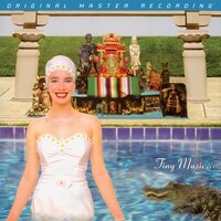 Stone Temple Pilots - Tiny Music... Songs from the Vatican Gift Shop vinyl cover