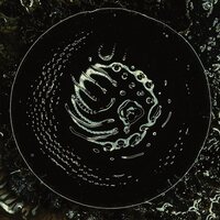 Stonus - Stonus  vinyl cover