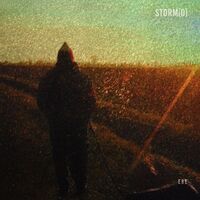 Storm - Ere Dl Card vinyl cover