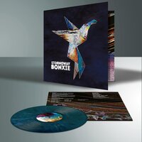Stornoway - Bonxie (Eco Colored) vinyl cover