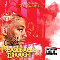 Stove God Cooks - Reasonable Drought vinyl cover