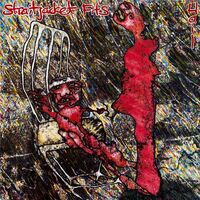 Straitjacket Fits - Hail vinyl cover