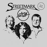 Streetmark - Dry vinyl cover