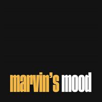 Stro Elliot - Marvin's Mood vinyl cover