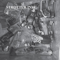 Strotter Inst. - Miszellen vinyl cover