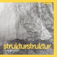 STRUKTURSTRUKTUR - The Gestalt vinyl cover