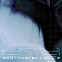 STS - Swallowed By A Whale vinyl cover