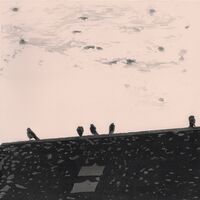 Stuart A. Staples - Arrhythmia vinyl cover