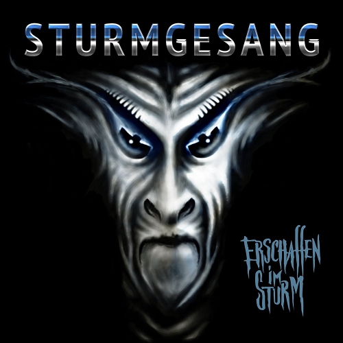 Sturmgesang - Erschaffen Im Sturm vinyl cover
