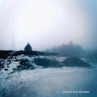 Submotile - Sonic Day Codas vinyl cover