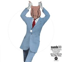 Suede - Animal Nitrate (30th Anniversary; Picture) vinyl cover