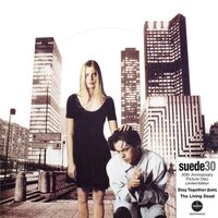 Suede - Stay Together: 30th Anniversary (Picture) vinyl cover