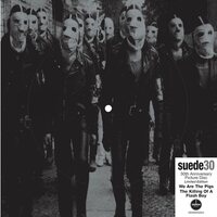Suede - We Are The Pigs: 30th Anniversary vinyl cover