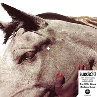 Suede - Wild Ones: 30th Anniversary (Picture) vinyl cover