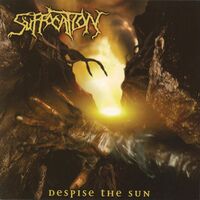 Suffocation - Despise The Sun vinyl cover