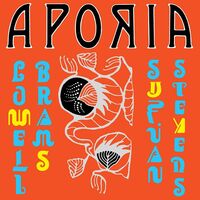 Sufjan Stevens - Aporia vinyl cover