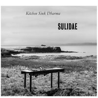 Sulidae - Kitchen Sink Dharma vinyl cover
