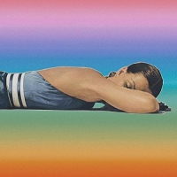 Sulk - No Illusions vinyl cover