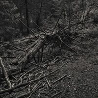 Sult - Always I Gnaw vinyl cover