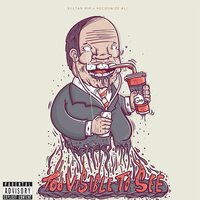 Sultan Mir & Recognize Ali - Too Visible Too See vinyl cover