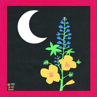 Summer Salt - Reside vinyl cover