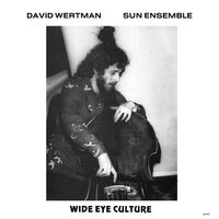 Sun Ensemble David Wertman &  Lynne Meryl - Wide Eye Culture - Deluxe Version vinyl cover