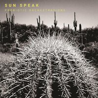 Sun Speak - Probiotic Orchestrations vinyl cover