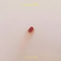 Sunset Rollercoaster - Vanilla Villa vinyl cover