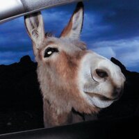 Superworld - Super World vinyl cover