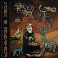Sur Austru - Datura Străhiarelor vinyl cover