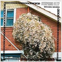 Surprise Chefl - Daylight Savings vinyl cover