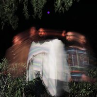 Surya Botofasina/Nate Mercereau/Carlos Niño - Subtle Movements vinyl cover