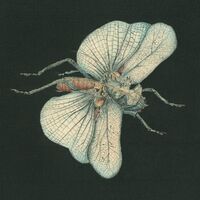 Susanna Sonata - Go Dig My Grave vinyl cover