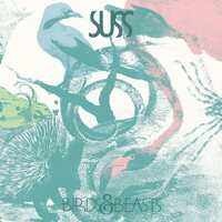 SUSS - Birds & Beasts (Yellow & Pink) vinyl cover