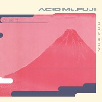 Susumu Yokota - ACID Mt. FUJI 2024 vinyl cover