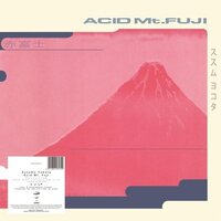 Susumu Yokota - Acid Mt. Fuji (30th Anniversary) vinyl cover