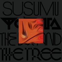 Susumu Yokota - The Boy And The Tree - Skintone vinyl cover