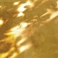 Svaneborg Kardyb - Haven vinyl cover
