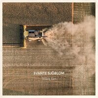 Svante Sjoblom - Telling Lies vinyl cover