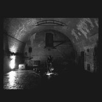 Svarte Greiner - Devolving Trust vinyl cover