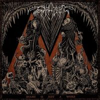 Svarttjern - Shame Is Just A Word vinyl cover