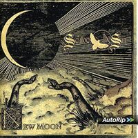 Swallow The Sun - New Moon vinyl cover