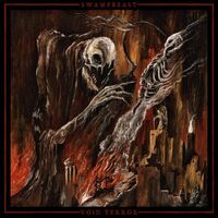 Swamp Beast / Void Terror - Split vinyl cover