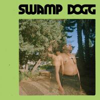 Swamp Dogg - I Need A Job...so I Can Buy More Auto-Tune vinyl cover